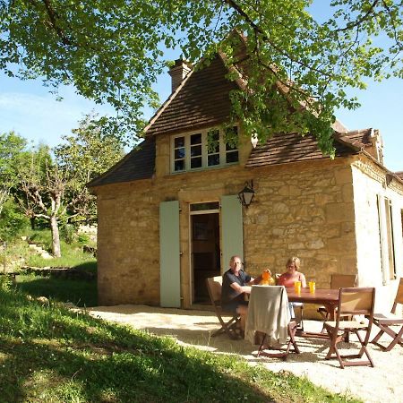 Cozy Cottage In Aquitaine With Private Swimming Pool Peyzac-le-Moustier Extérieur photo