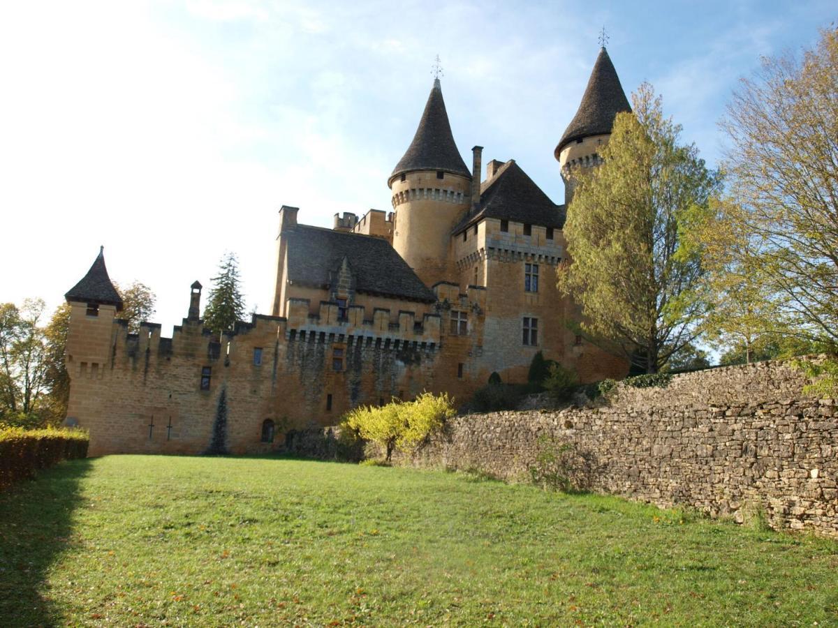 Cozy Cottage In Aquitaine With Private Swimming Pool Peyzac-le-Moustier Extérieur photo